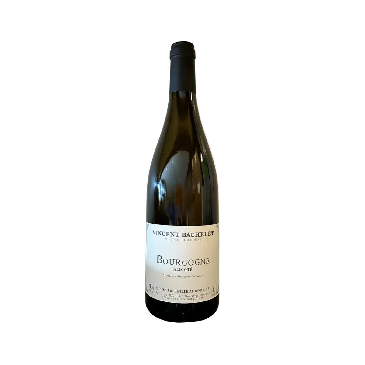 Domaine Bachelet Bourgogne Aligoté