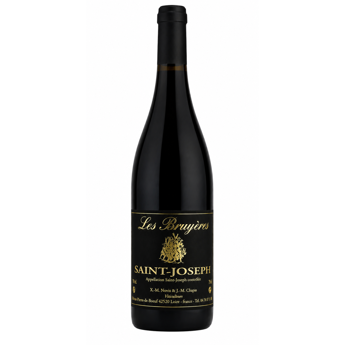 Domaine Les Bruyeres Saint Joseph