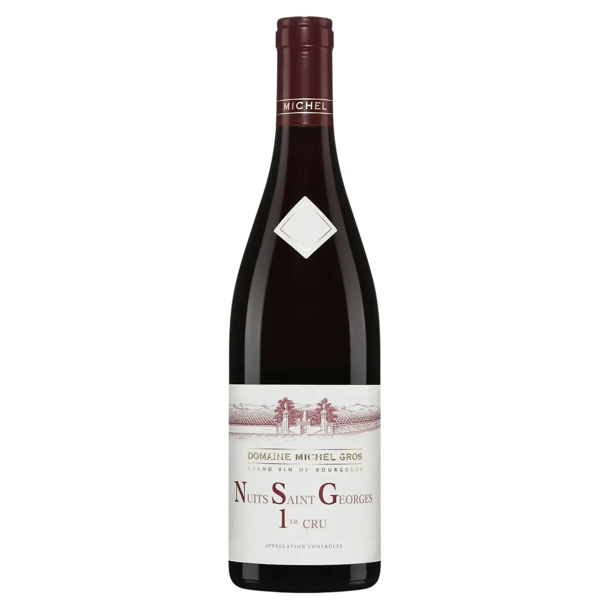 Domaine Michel Gros Nuits Saint Georges 1er Cru 2022