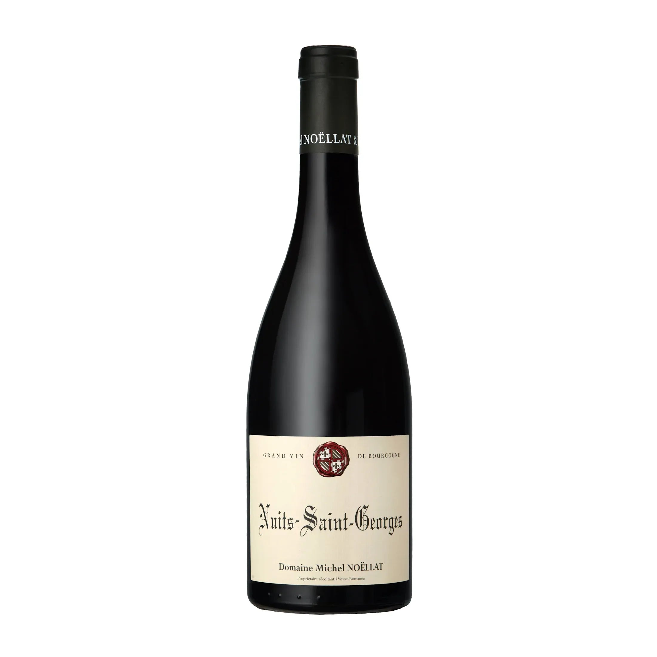  Domaine Michel Noellat Nuits Saint Georges