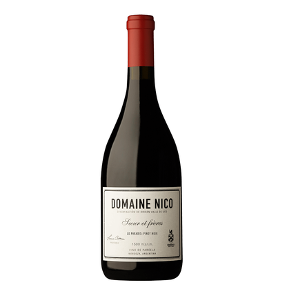 Domaine Soeur et Freres Nico Le Paradis : Pinot Noir