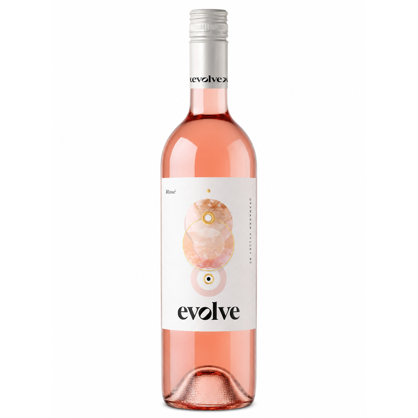 Evolve Rose