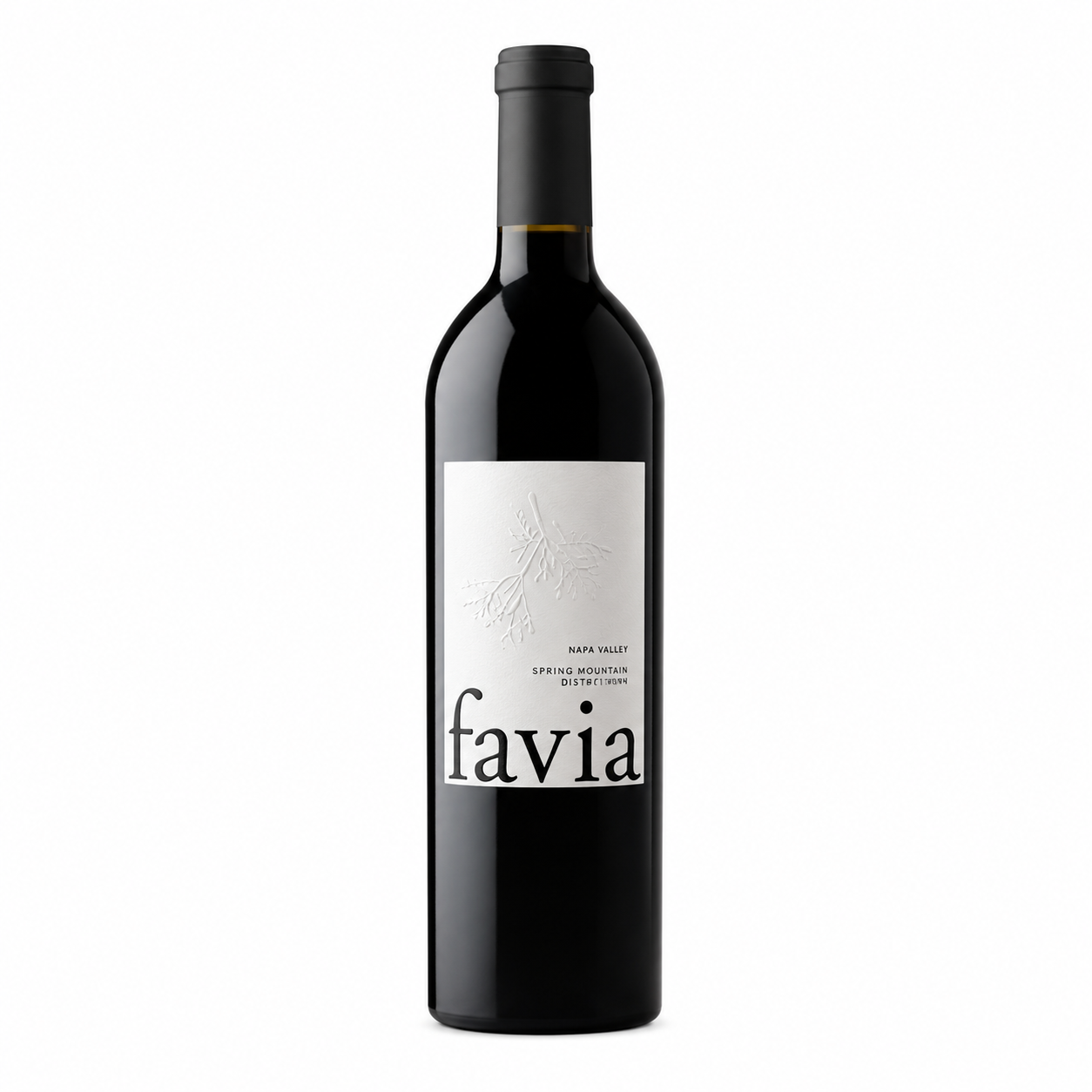 Favia Cerro Sur