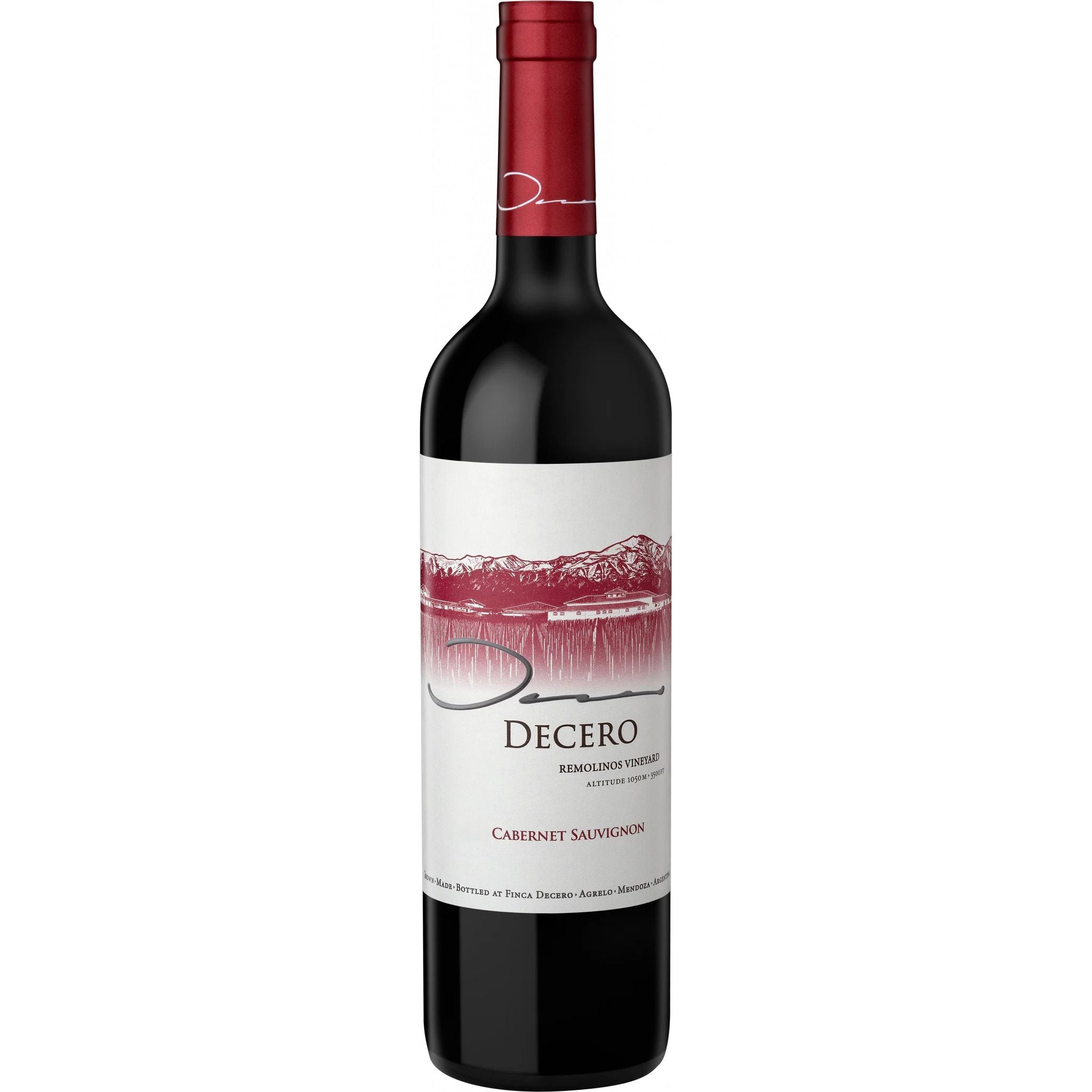 Finca Decero Remolinos Vineyard Cabernet Sauvignon