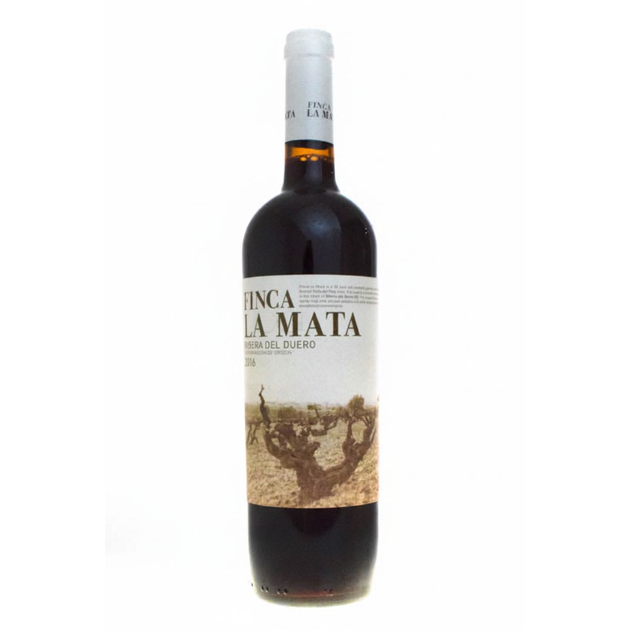 Finca La Mata 2022