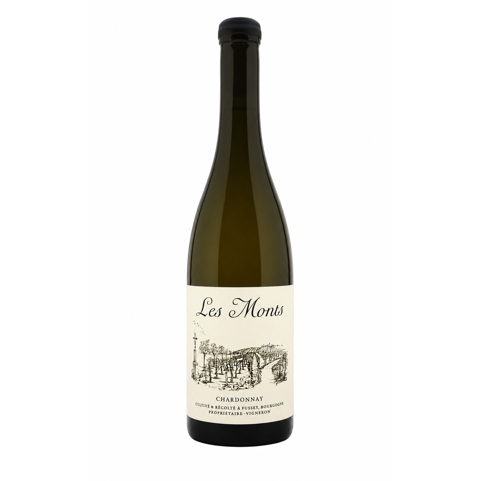 Le Monts Bourgogne Les Crucibees Blanc