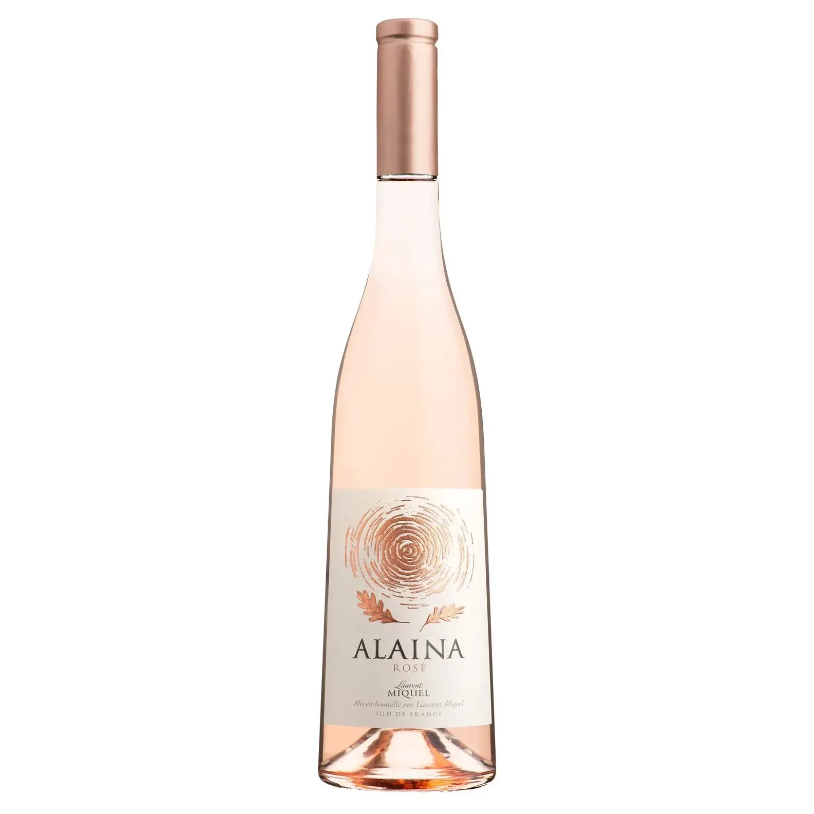 Les Auzines Alaina Rose 2024