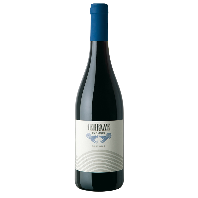 Mazzolino Pinot Noir Terrazze 2021