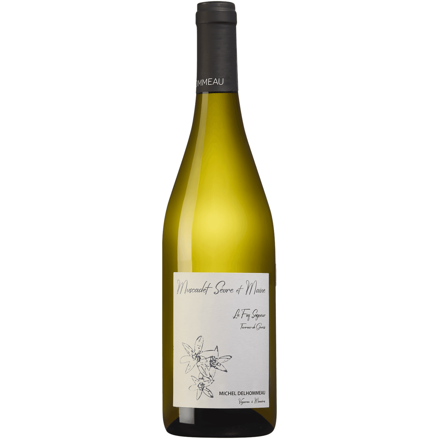 Michel Delhommeau Muscadet Sevre et Maine La Danse des Oiseaux Terre d'Eveil