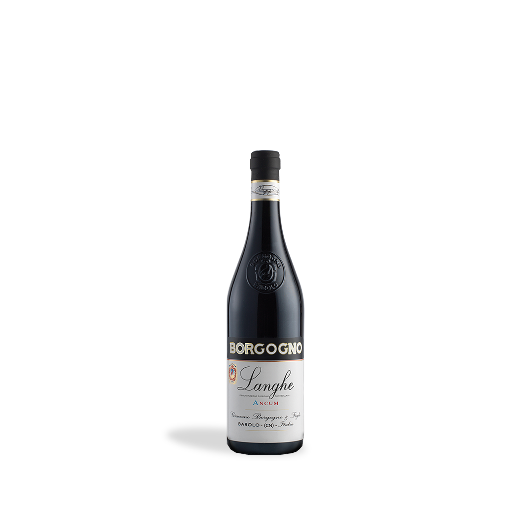 Borgogno Langhe Ancum Dolcetto 2023