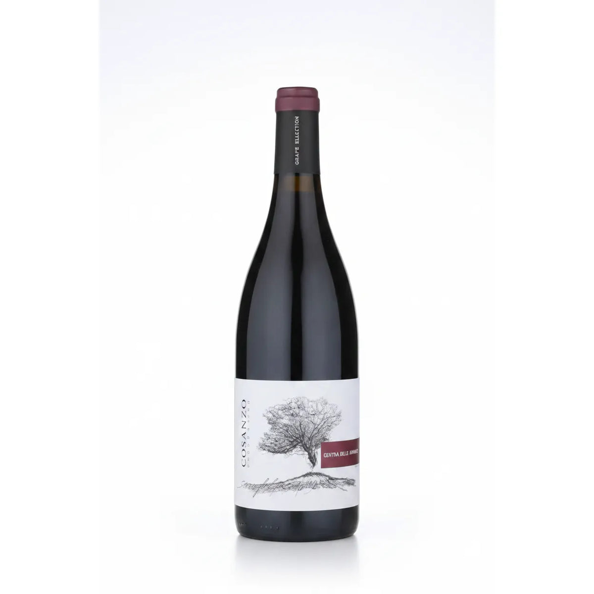 Palmento Costanzo Mofete Etna Rosso 2022
