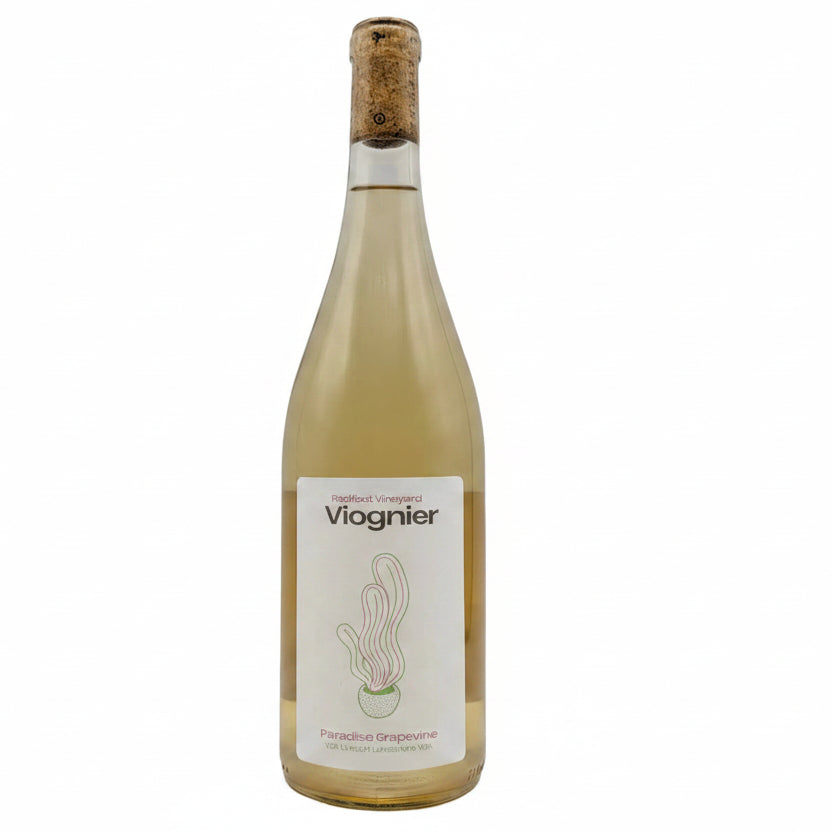 Paradise Grapevine Viognier