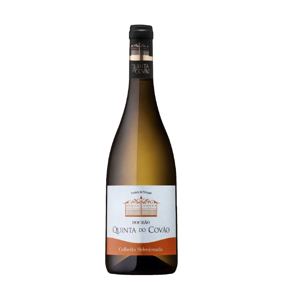 Quinta do Covão Colheita Branco