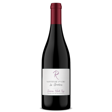 Domaine Elodie Roy Santenay 1er Cru 'Les Gravieres' 2020 750ml