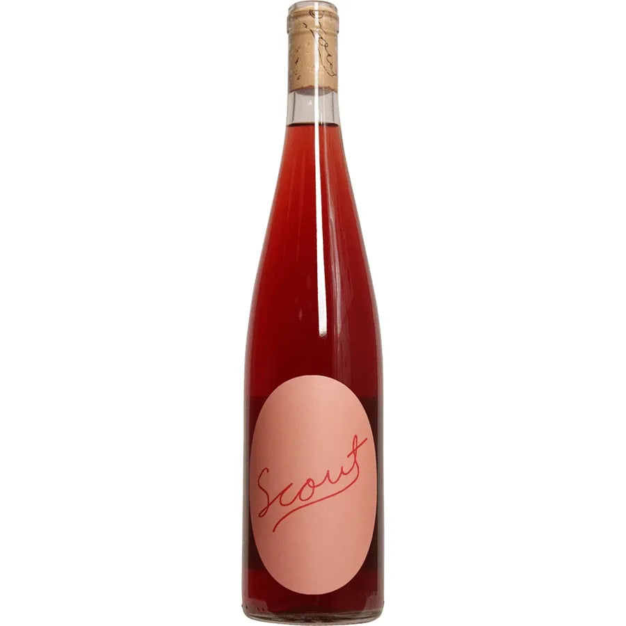 Scout Vineyard Rose