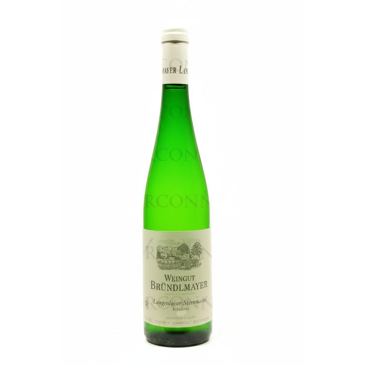 Weingut Brundlmayer Steinmassel Reserve Riesling 2013