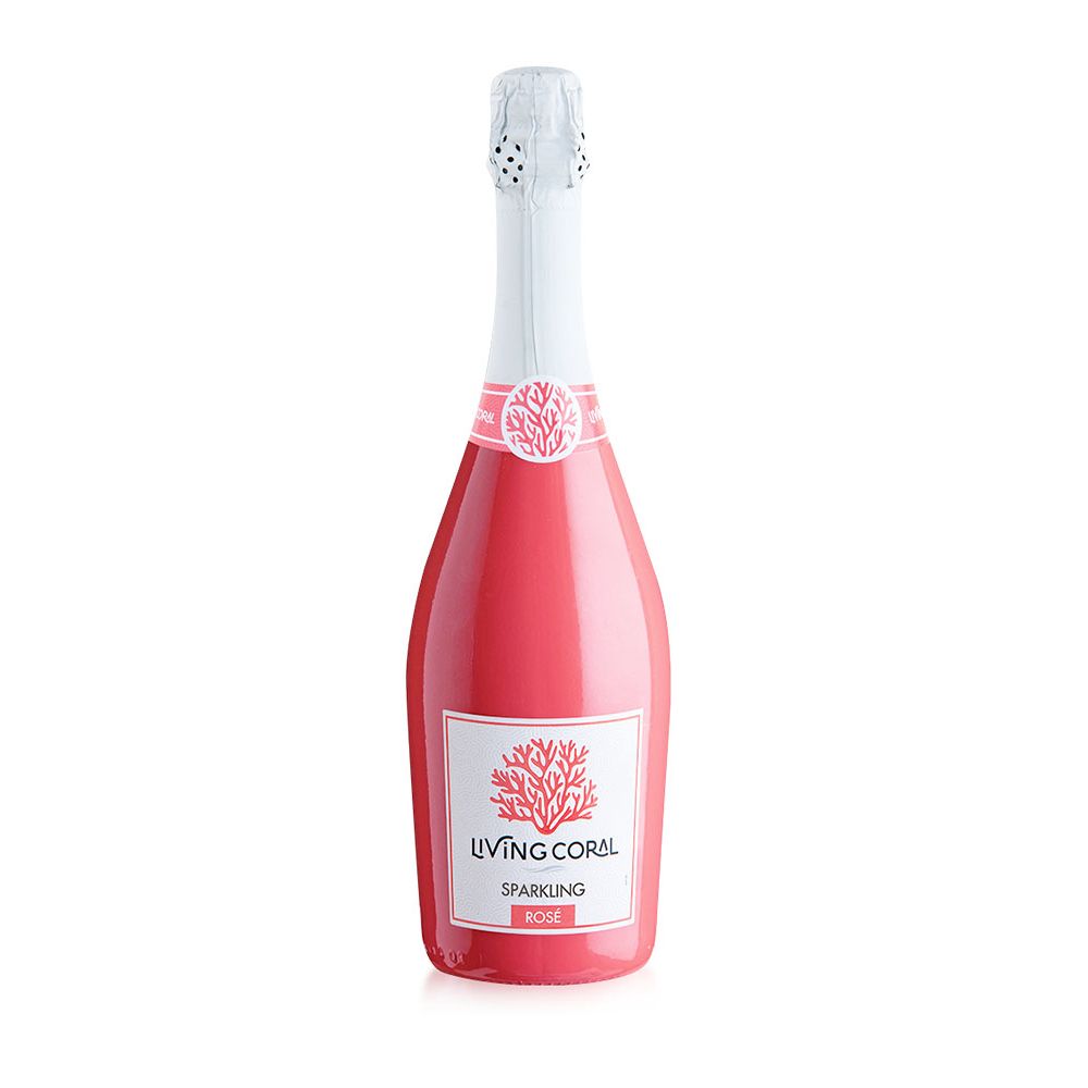 Living Coral Rose