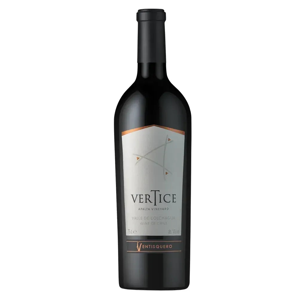 Ventisquero Vertice 2019/2021