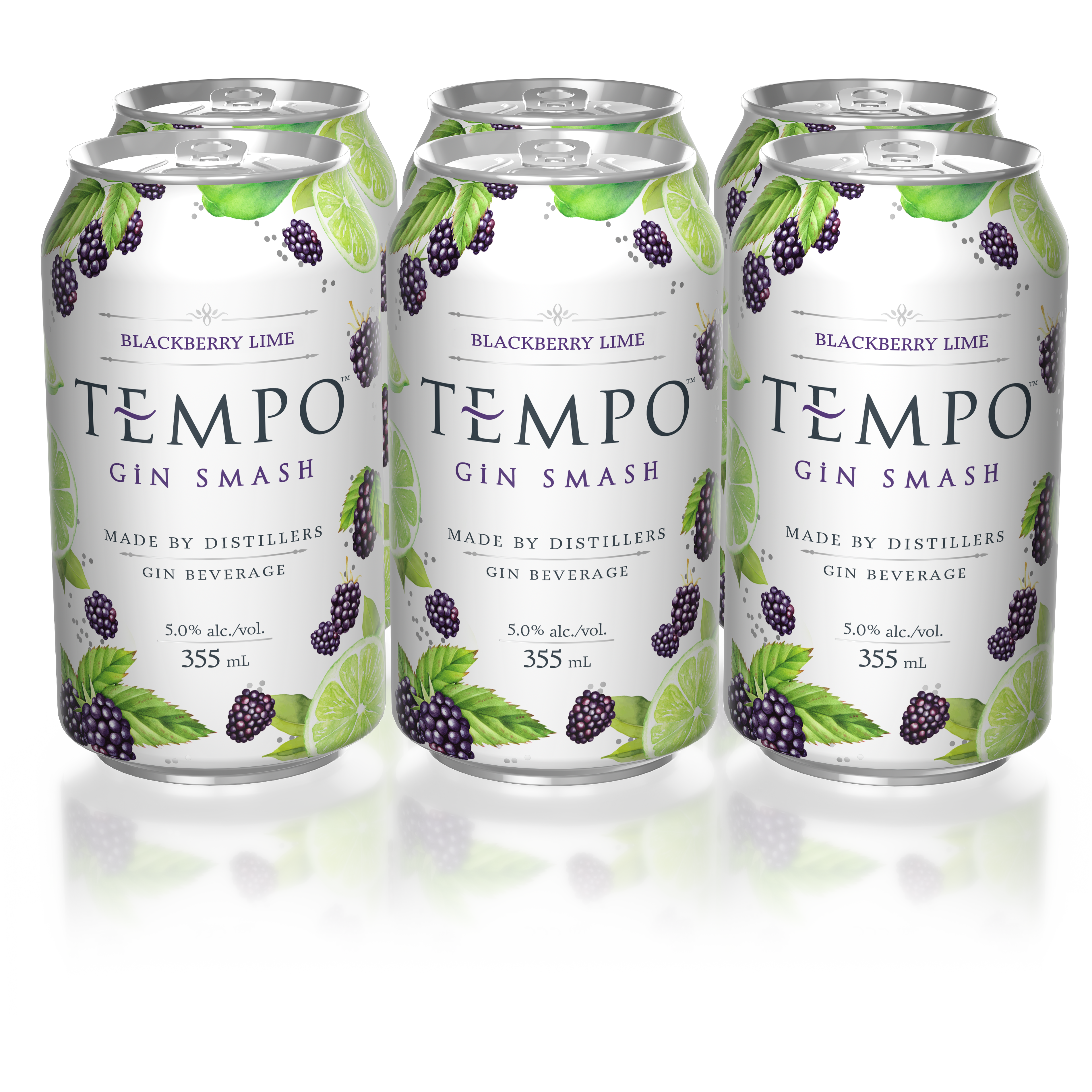 Tempo Gin Smash Blackberry Lime 6 Cans